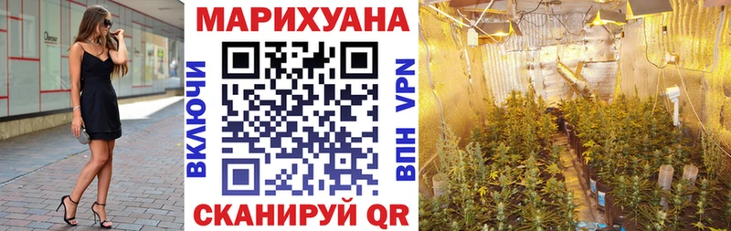 Купить закладки  Магадан  Шишки марихуана VHQ 